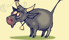 成语故事：竭泽而渔