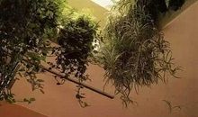 校园美丽的内天井_450字