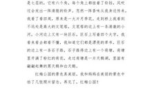 学校的一角_250字