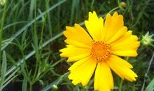 平凡也美丽_900字