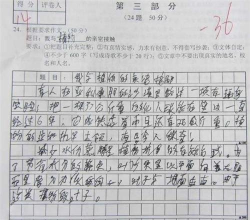 中等入口考试工作技能_1500字