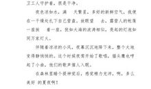 美好的夏夜_200字