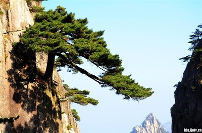 黄山Qisong _400字