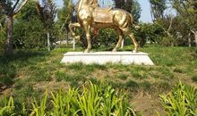 我爱马陵公园_250字