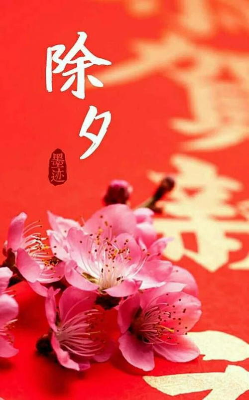 新年前夕论文_250字