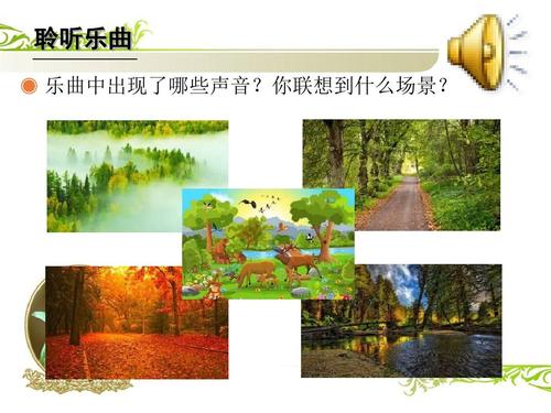 “森林汽车”妄想_600字