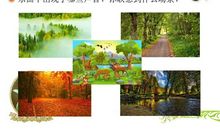 《森林狂想曲》遐想_600字