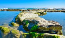 小溪、大海、岩石的故事_450字