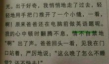 关于细节的作文：把握细节_700字