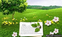 春天的美景_50字