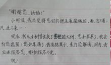 雨中思亲情_100字
