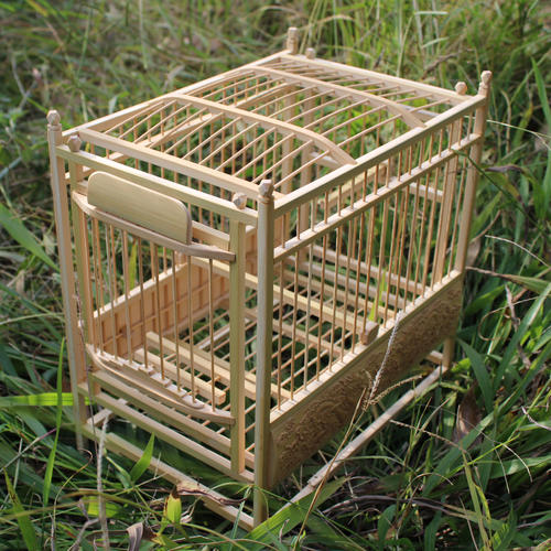 黄豆逃生笼_550字