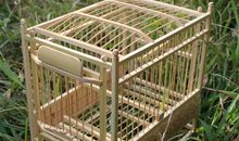 黄豆逃笼记_550字