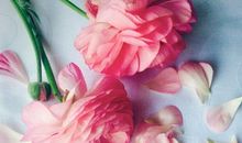 花开花落，我在成长_550字