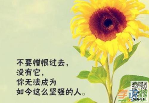 关于生命的着名生活_2000字