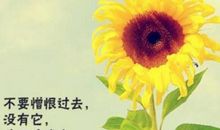 关于人生生命的名言_2000字