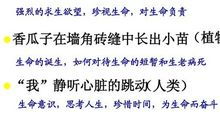 杏林子关于生命的名言_3000字