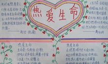 爱护生命名言警句_2000字