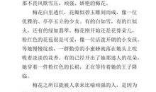 关于梅花的作文：喜欢的梅花_400字