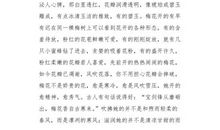关于梅花的作文：梅花来了_650字