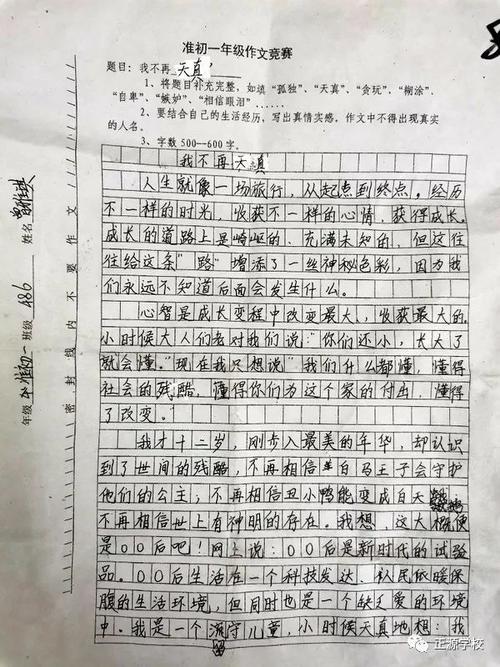 用梅花组成：强烈的梅花（2）_650字