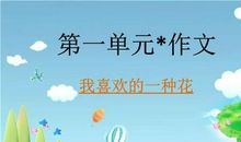 关于梅花的作文：逆境里的梅花（二）_300字