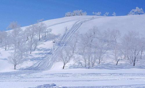 三年级写作组成：美丽的雪景_400字