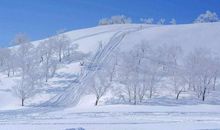 三年级写景作文：美丽的雪景_400字