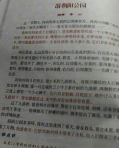 三年作家组成：秋天在郊区_350字