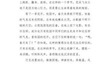 页页总关情_600字