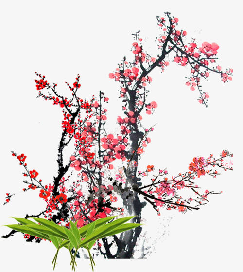 梅花_100字