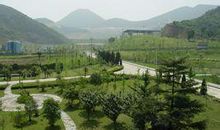 三年级写景作文：参观天子岭垃圾填埋场_750字