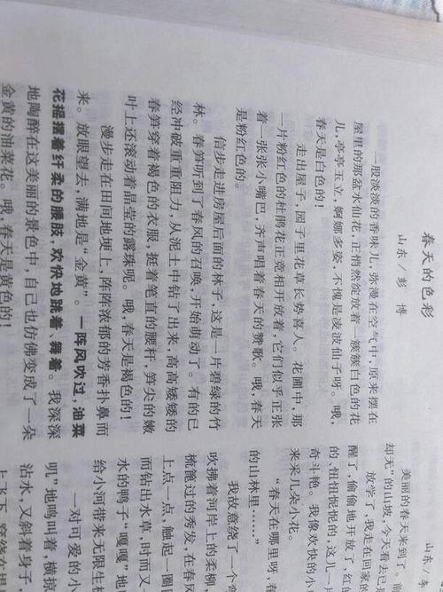 爱国者_350字