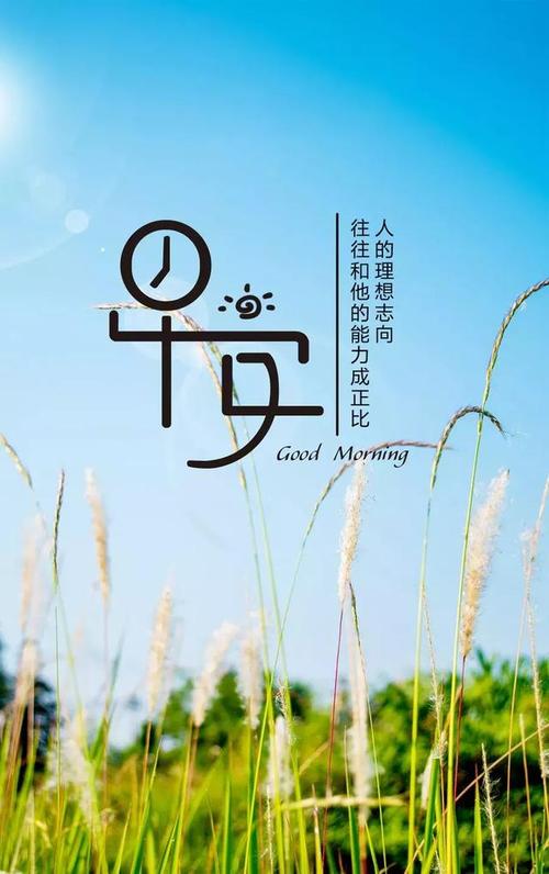 [令人难忘的2014年文章]到我们自己_1200字
