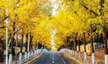 [秋天的童话]我爱秋天_800字