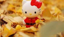 [秋天的童话]秋的到来_550字