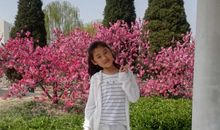 关于春的作文：春天　海子_250字