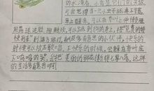 初三想象作文：我是一只小虫子_550字