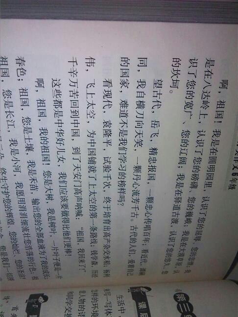 爱国成分：中学生爱国主义奥运会 -  900字