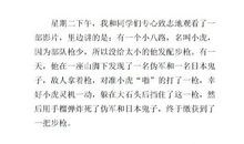 爱国作文：爱国主义者——我们_300字