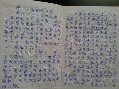 爱国主义：弘扬爱国主义的精神，练习社会主义的荣誉理念_900字