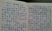 爱国作文：发扬爱国主义精神，践行社会主义荣辱观_900字