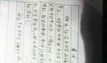 雨中的树林（扩写）_500字