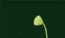 劳动委员上任记_550字