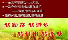 [9月付出与回报小学组]付出与回报]_400字