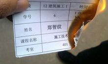 [9月付出与回报小学组]付出和回报 _450字