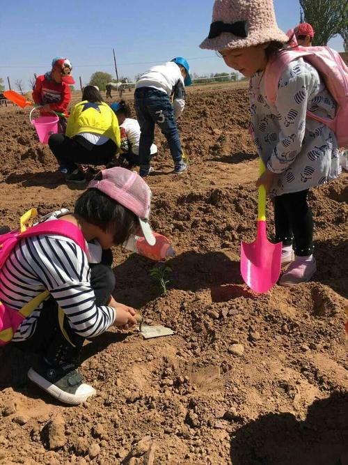 [九月付款和回归小学集团]清洁并不容易_350字