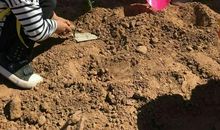 [9月付出与回报小学组]洁净来之不易_350字