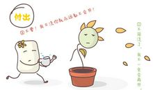 [9月付出与回报小学组]付出的背后往往是收获_750字