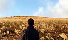 [9月付出与回报小学组]闲话挫折_600字